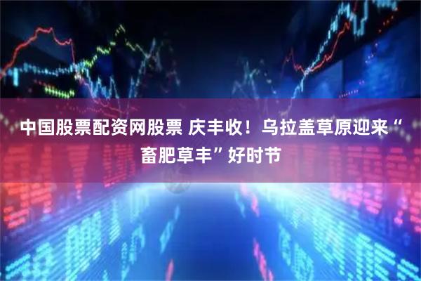 中国股票配资网股票 庆丰收！乌拉盖草原迎来“畜肥草丰”好时节
